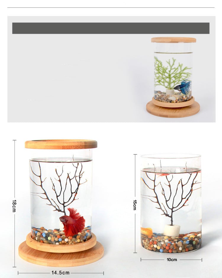Small Aquarium for Office | Fish bowl – FitAquarium Shop